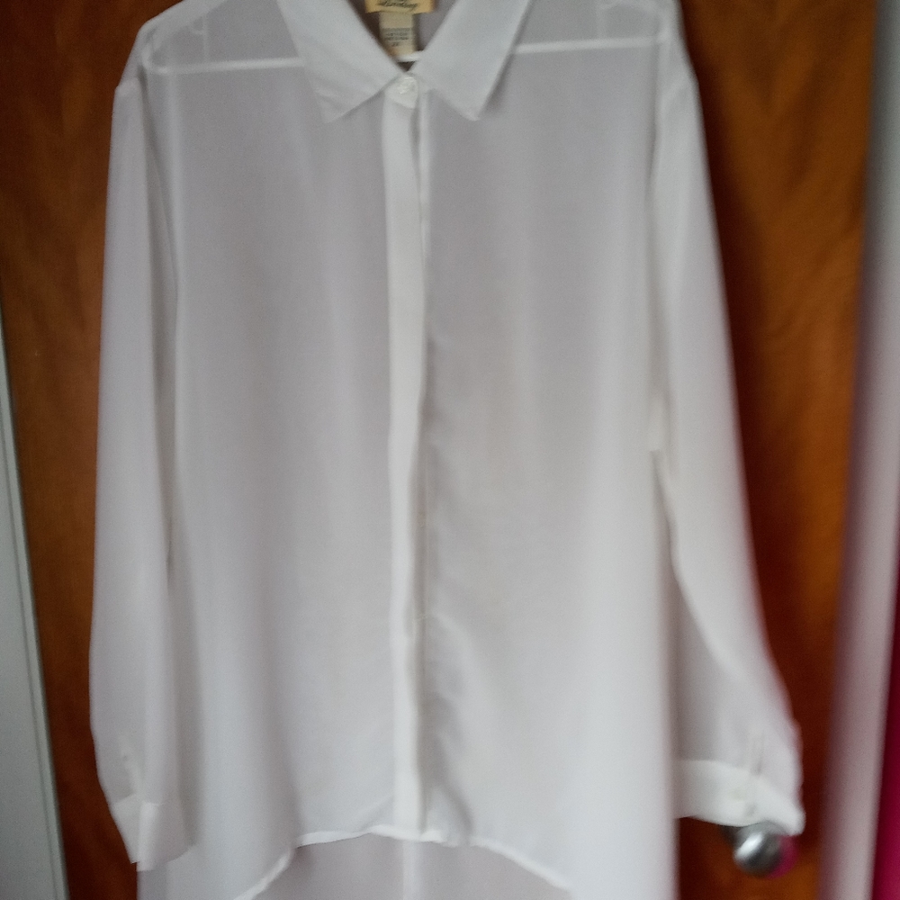 Long Sheer Blouse /2×